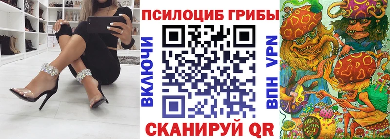 купить   Весьегонск  Псилоцибиновые грибы Psilocybine cubensis 